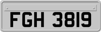 FGH3819