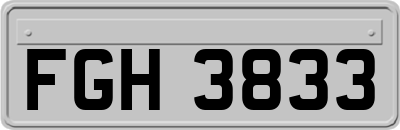 FGH3833