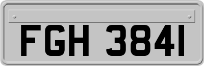 FGH3841