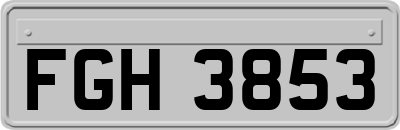 FGH3853