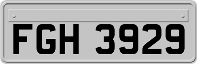 FGH3929
