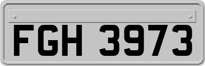 FGH3973