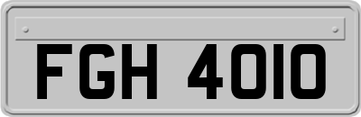 FGH4010