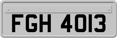 FGH4013