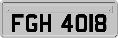 FGH4018