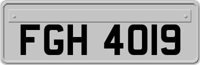 FGH4019