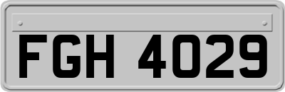 FGH4029
