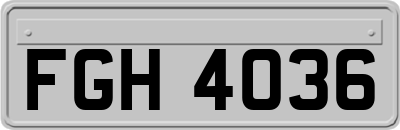 FGH4036
