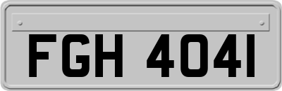 FGH4041