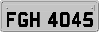 FGH4045