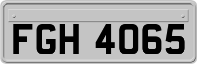 FGH4065
