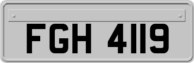 FGH4119