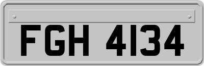 FGH4134