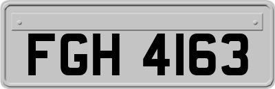 FGH4163