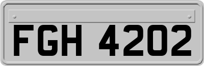 FGH4202