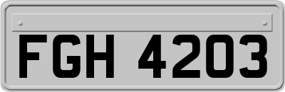 FGH4203