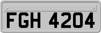 FGH4204