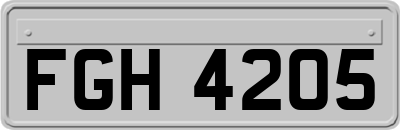 FGH4205
