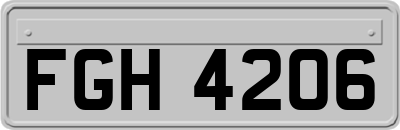 FGH4206