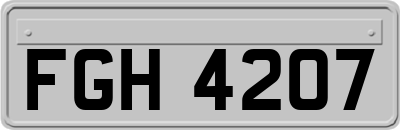 FGH4207