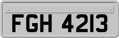 FGH4213