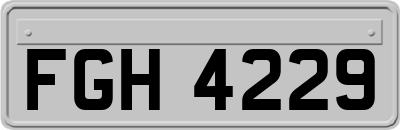 FGH4229