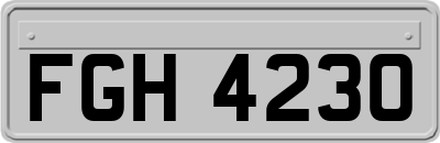 FGH4230