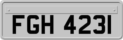 FGH4231