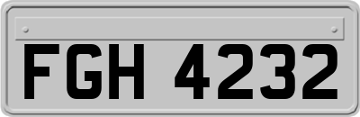 FGH4232