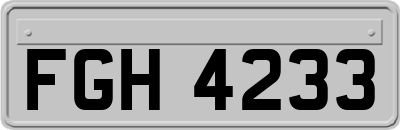 FGH4233