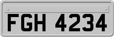 FGH4234