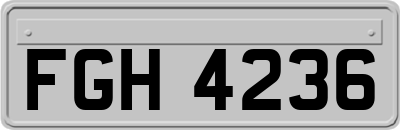 FGH4236