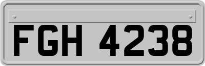 FGH4238