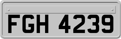 FGH4239