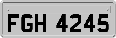 FGH4245
