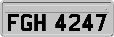FGH4247
