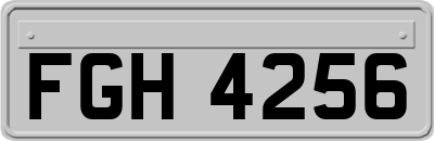 FGH4256