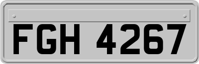 FGH4267