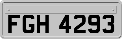 FGH4293