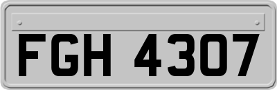 FGH4307