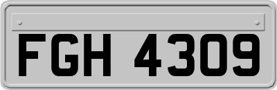 FGH4309