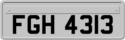 FGH4313