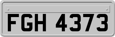 FGH4373