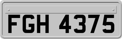 FGH4375