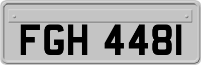 FGH4481