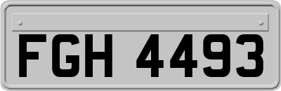 FGH4493
