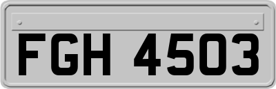 FGH4503