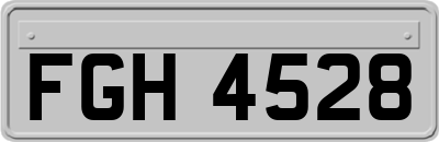 FGH4528