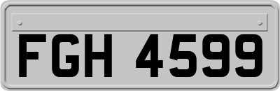 FGH4599