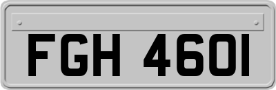 FGH4601